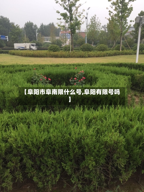 【阜阳市阜南限什么号,阜阳有限号吗】