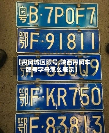【丹凤城区限号,陕西丹凤车牌号字母怎么表示】