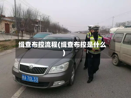缉查布控流程(缉查布控是什么)