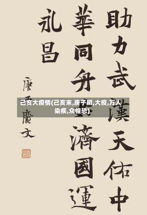 己亥大疫情(己亥末,庚子初,大疫,万人染疾,众惶恐)