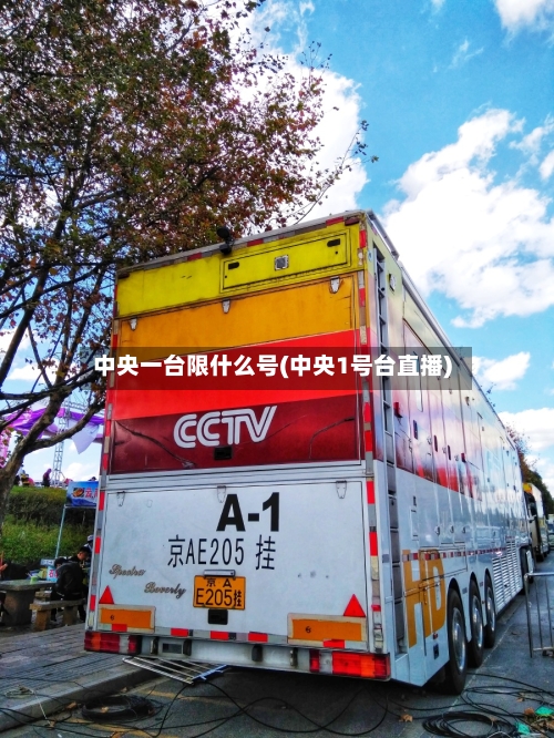中央一台限什么号(中央1号台直播)