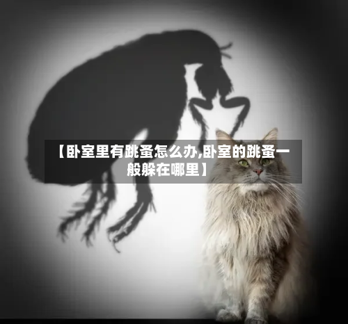 【卧室里有跳蚤怎么办,卧室的跳蚤一般躲在哪里】