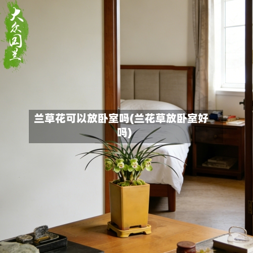 兰草花可以放卧室吗(兰花草放卧室好吗)