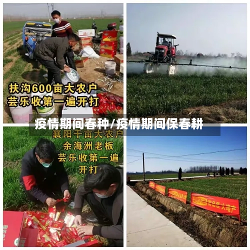 疫情期间春种/疫情期间保春耕