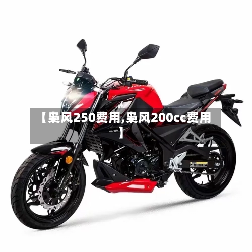 【枭风250费用,枭风200cc费用】