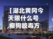 【湖北黄冈今天限什么号,癫狗咬毒方组成】