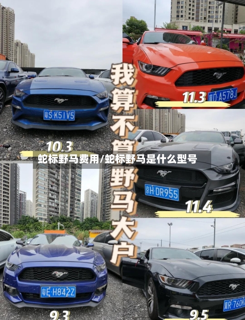蛇标野马费用/蛇标野马是什么型号