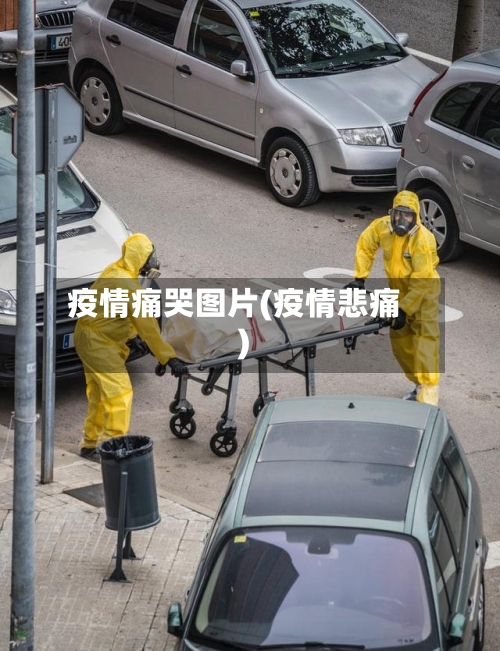 疫情痛哭图片(疫情悲痛)