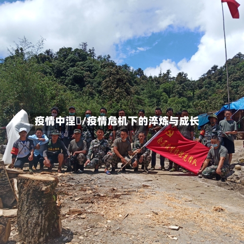疫情中涅槃/疫情危机下的淬炼与成长