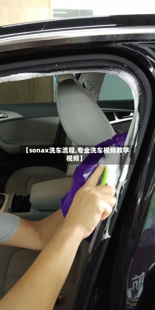【sonax洗车流程,专业洗车视频教学视频】