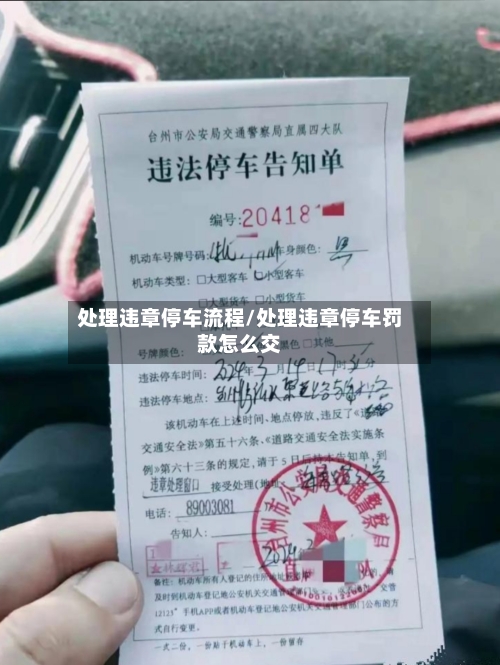 处理违章停车流程/处理违章停车罚款怎么交