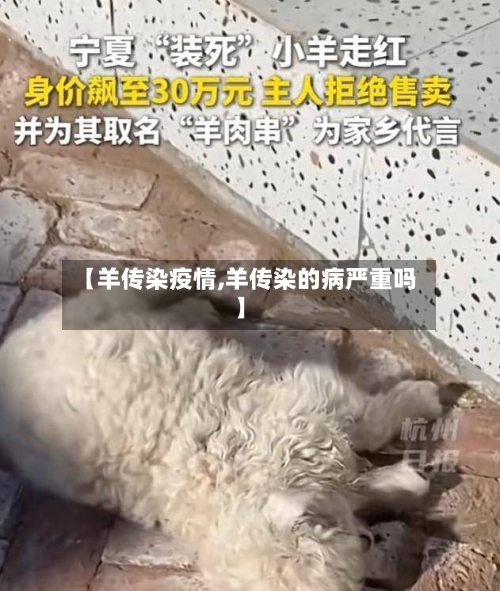 【羊传染疫情,羊传染的病严重吗】