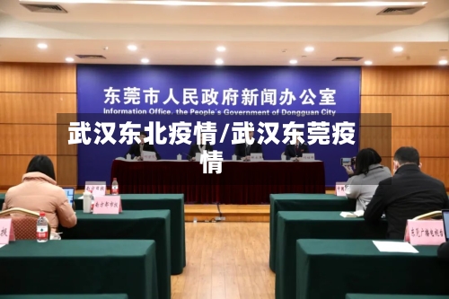 武汉东北疫情/武汉东莞疫情