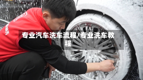 专业汽车洗车流程/专业洗车教程