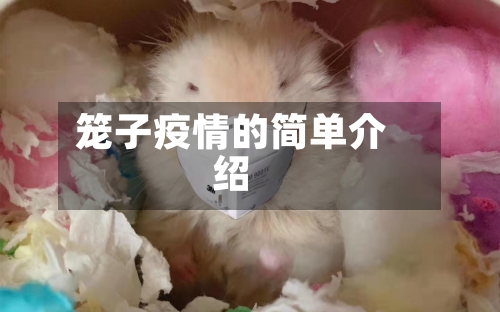 笼子疫情的简单介绍