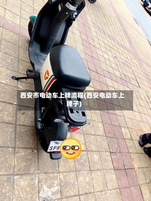 西安市电动车上牌流程(西安电动车上牌子)