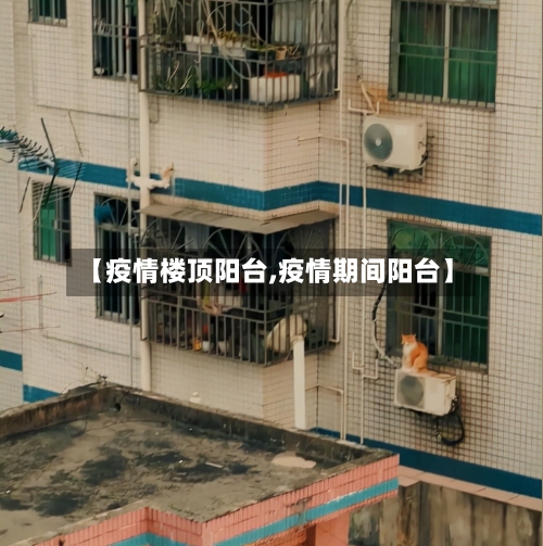 【疫情楼顶阳台,疫情期间阳台】