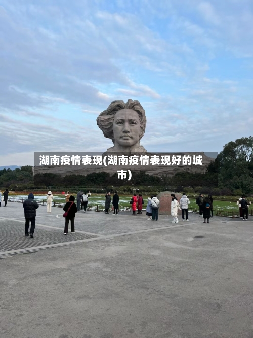 湖南疫情表现(湖南疫情表现好的城市)