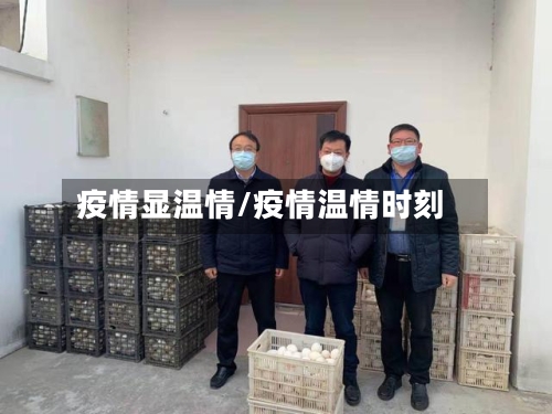 疫情显温情/疫情温情时刻