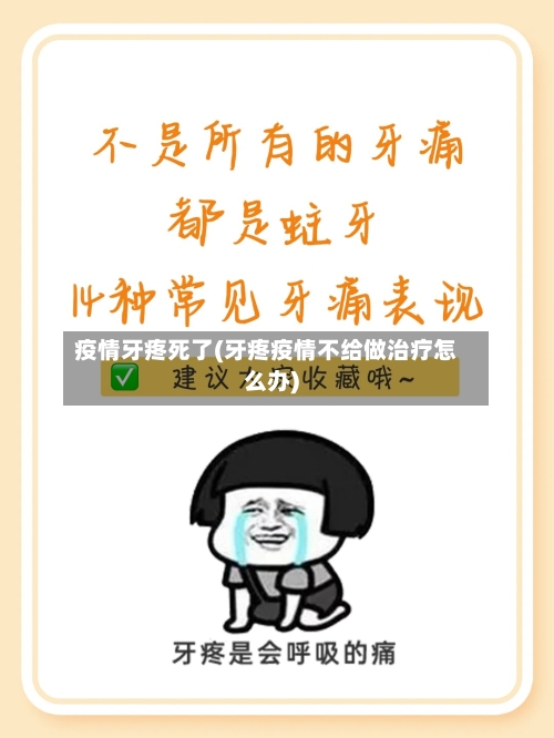 疫情牙疼死了(牙疼疫情不给做治疗怎么办)