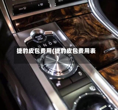 捷豹皮包费用(捷豹皮包费用表)