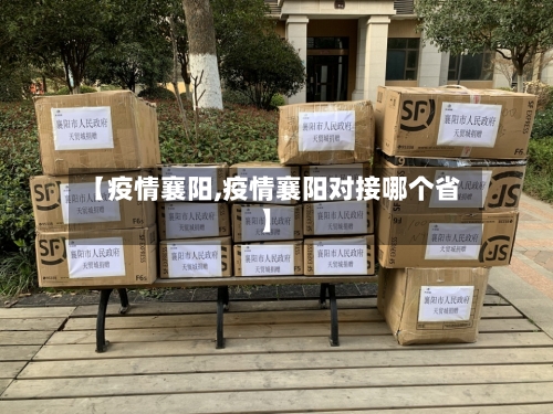 【疫情襄阳,疫情襄阳对接哪个省】