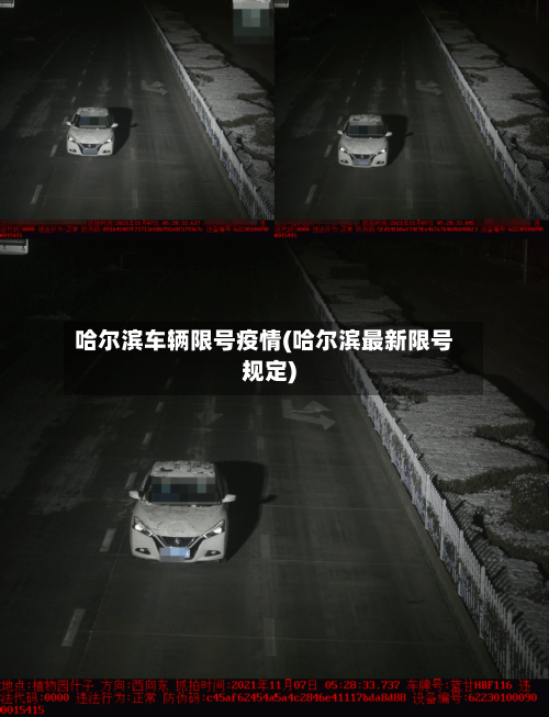 哈尔滨车辆限号疫情(哈尔滨最新限号规定)