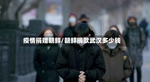 疫情捐赠朝鲜/朝鲜捐款武汉多少钱