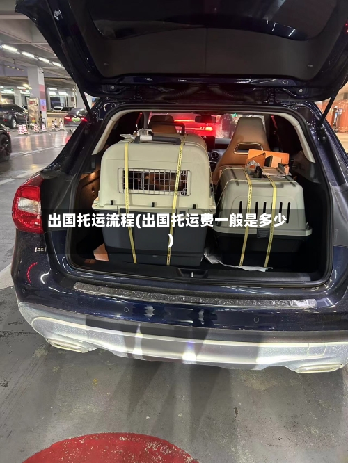 出国托运流程(出国托运费一般是多少)