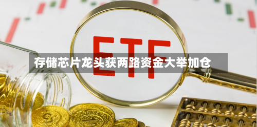 存储芯片龙头获两路资金大举加仓