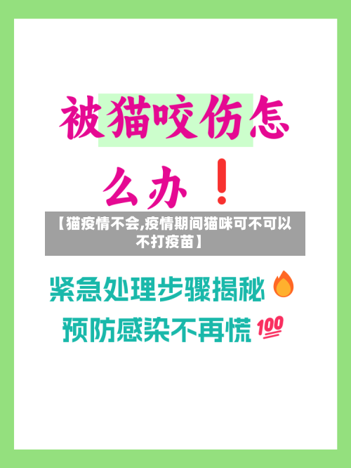 【猫疫情不会,疫情期间猫咪可不可以不打疫苗】