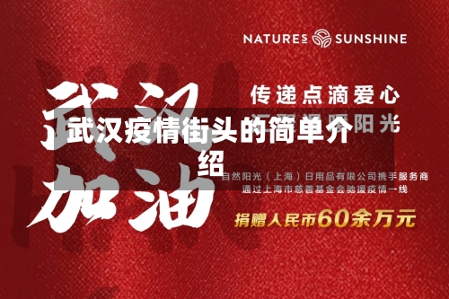 武汉疫情街头的简单介绍