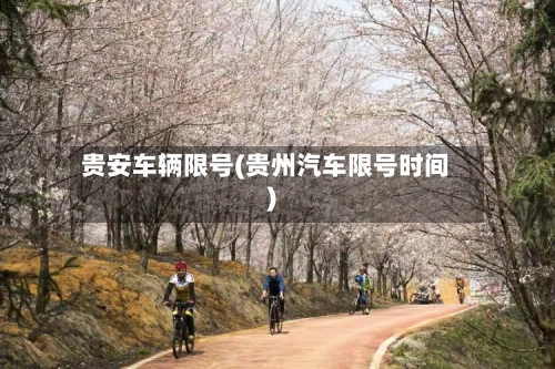 贵安车辆限号(贵州汽车限号时间)