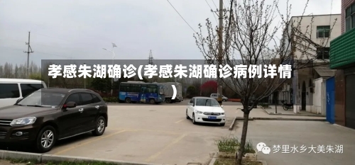 孝感朱湖确诊(孝感朱湖确诊病例详情)