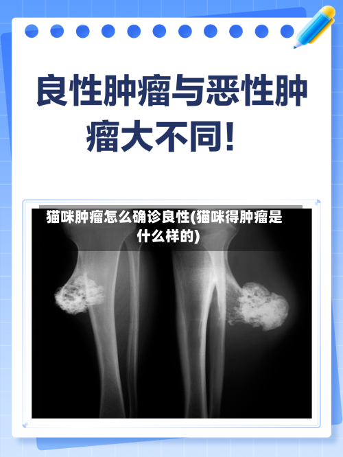 猫咪肿瘤怎么确诊良性(猫咪得肿瘤是什么样的)