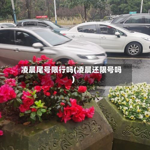 凌晨尾号限行吗(凌晨还限号吗)