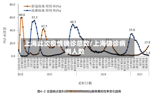 上海此次疫情确诊总数/上海确诊病例人数
