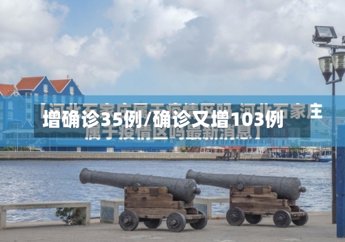 增确诊35例/确诊又增103例