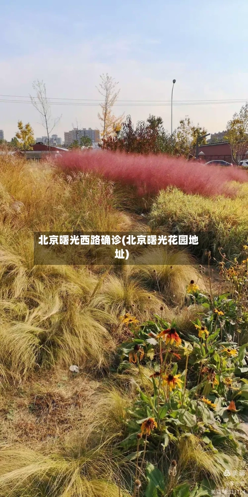 北京曙光西路确诊(北京曙光花园地址)
