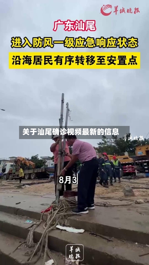 关于汕尾确诊视频最新的信息