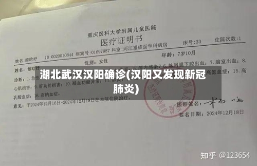湖北武汉汉阳确诊(汉阳又发现新冠肺炎)