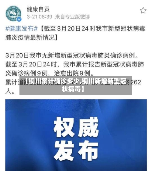 【铜川累计确诊多少,铜川新增新型冠状病毒】