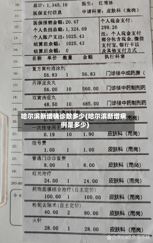 哈尔滨新增确诊数多少(哈尔滨新增病例是多少)