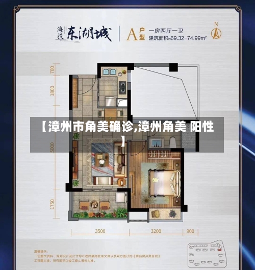 【漳州市角美确诊,漳州角美 阳性】