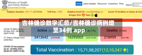 吉林确诊数字汇总/吉林确诊病例增至34例 app