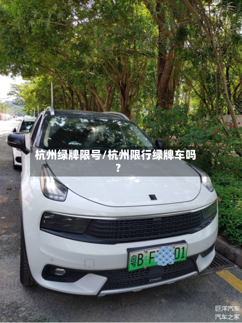 杭州绿牌限号/杭州限行绿牌车吗?