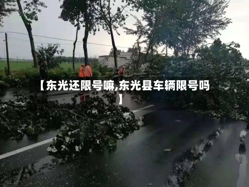 【东光还限号嘛,东光县车辆限号吗】