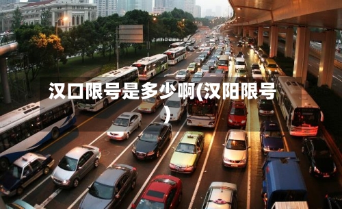 汉口限号是多少啊(汉阳限号)