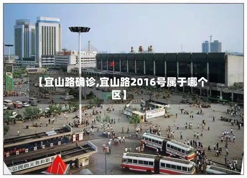 【宜山路确诊,宜山路2016号属于哪个区】