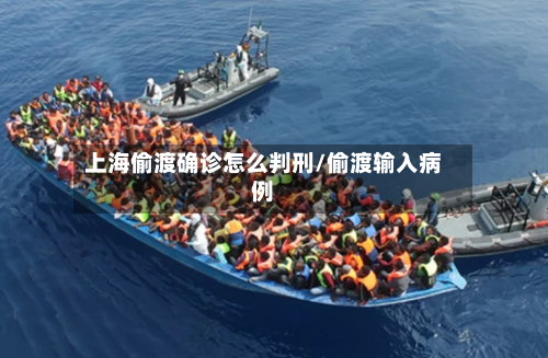 上海偷渡确诊怎么判刑/偷渡输入病例
